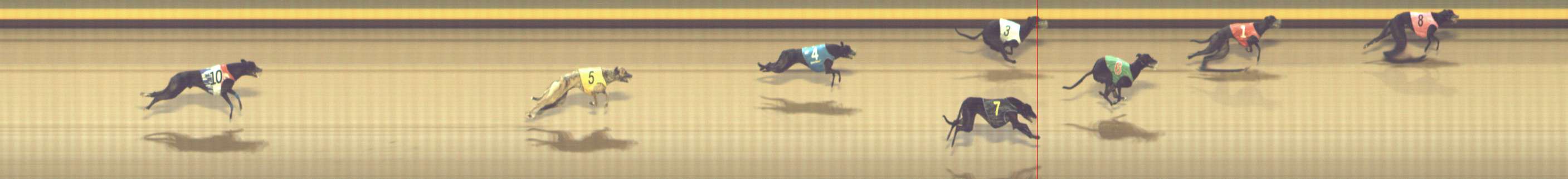 Photo finish for Shepparton Race 12