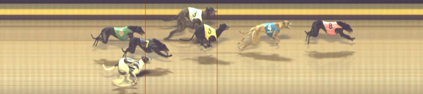 Photo finish for Shepparton Race 13