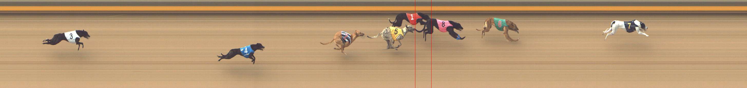 Photo finish for Shepparton Race 1