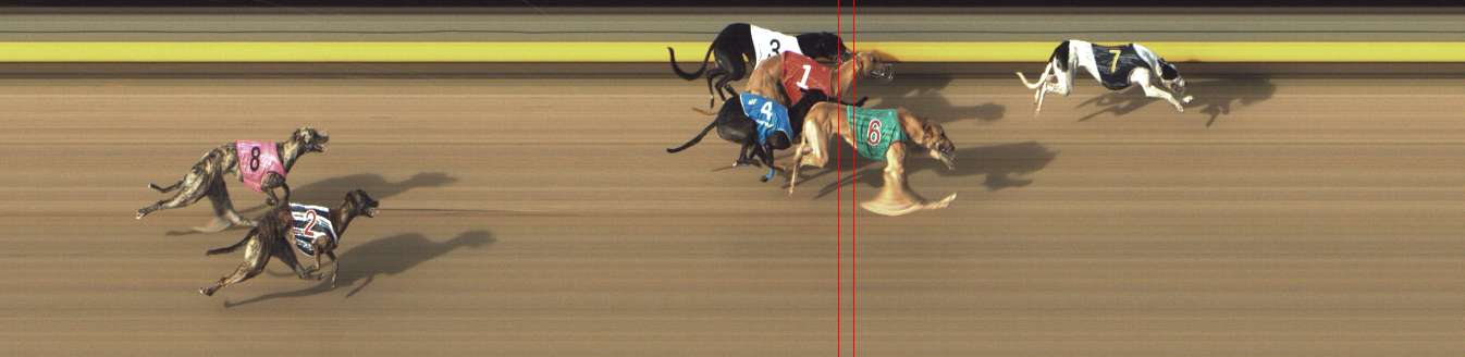 Photo finish for Shepparton Race 10