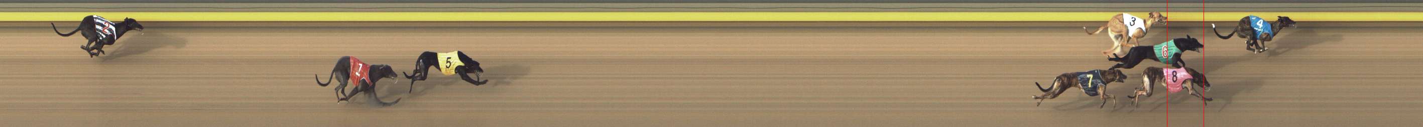 Photo finish for Shepparton Race 11