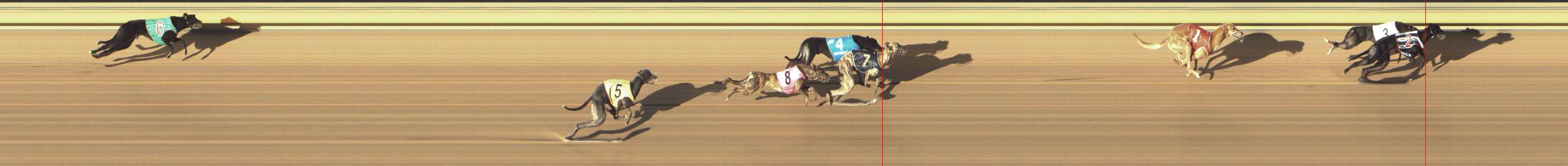 Photo finish for Shepparton Race 12
