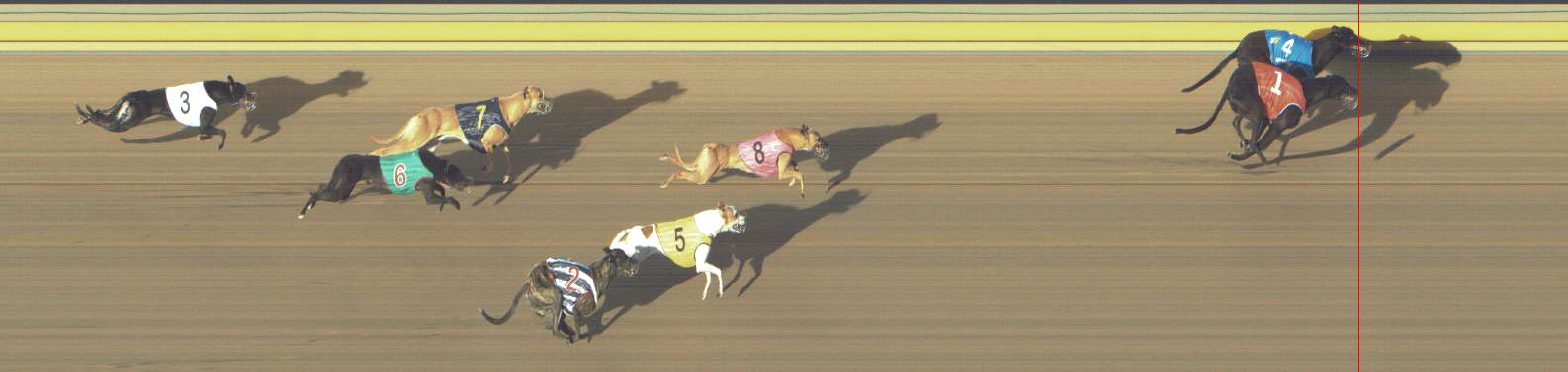 Photo finish for Shepparton Race 13