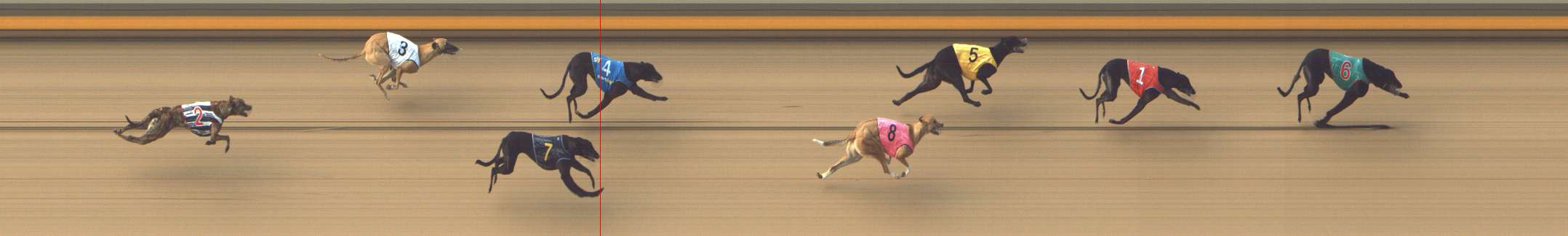 Photo finish for Shepparton Race 2