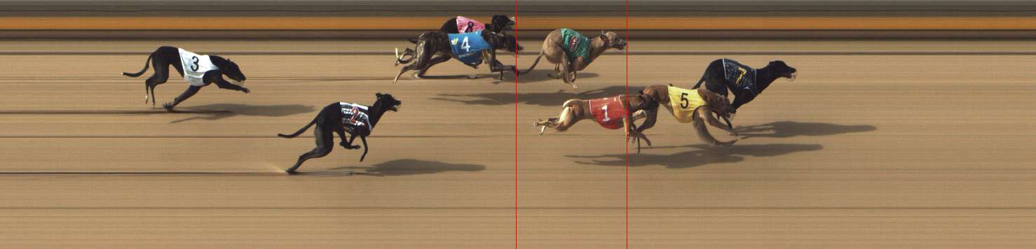 Photo finish for Shepparton Race 3