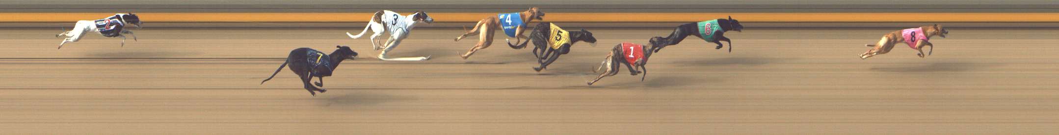 Photo finish for Shepparton Race 4