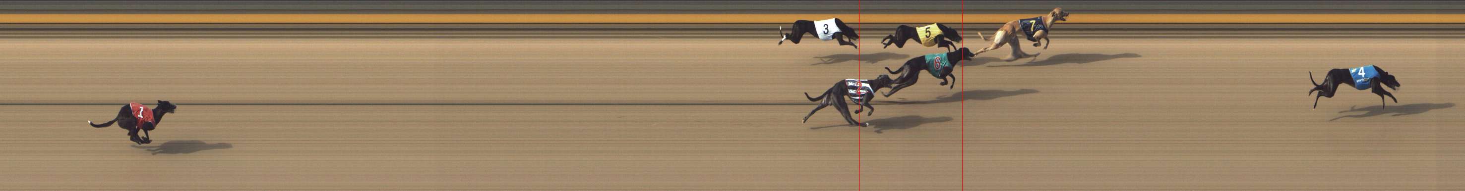 Photo finish for Shepparton Race 5
