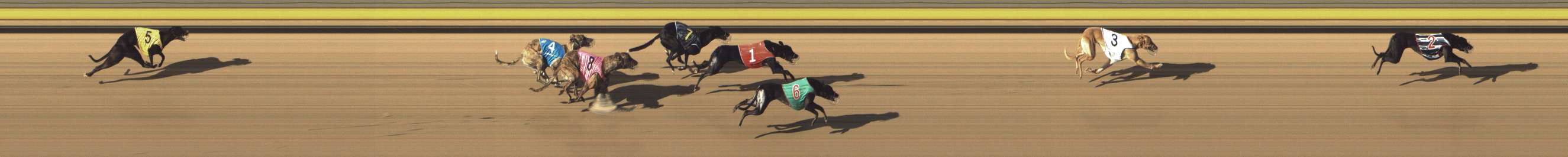 Photo finish for Shepparton Race 8