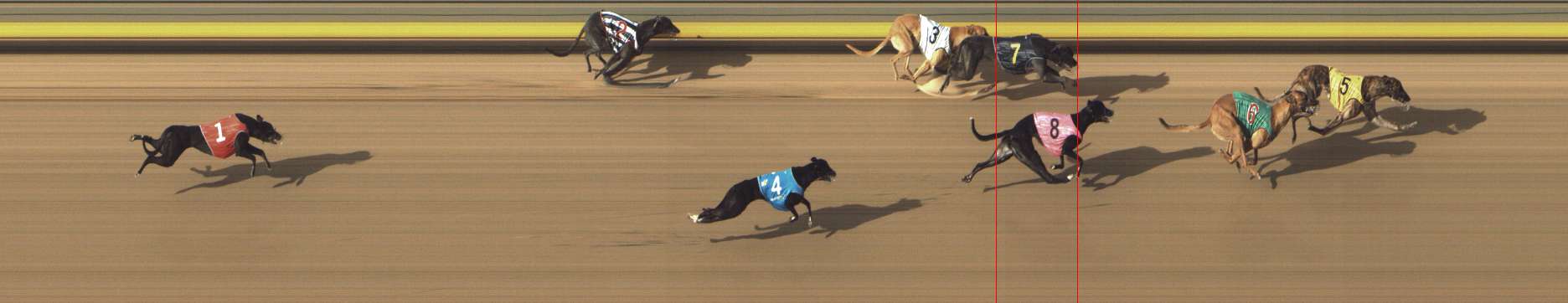Photo finish for Shepparton Race 9