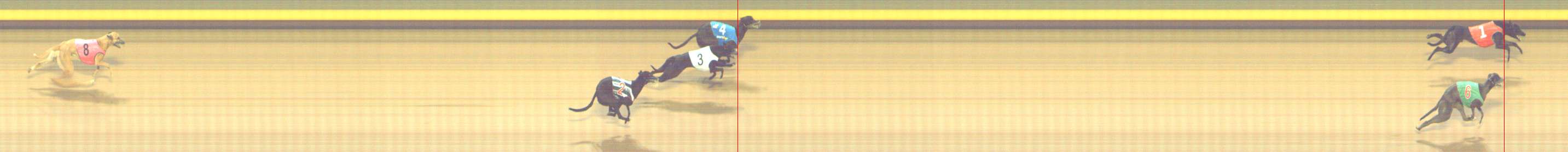 Photo finish for Shepparton Race 2