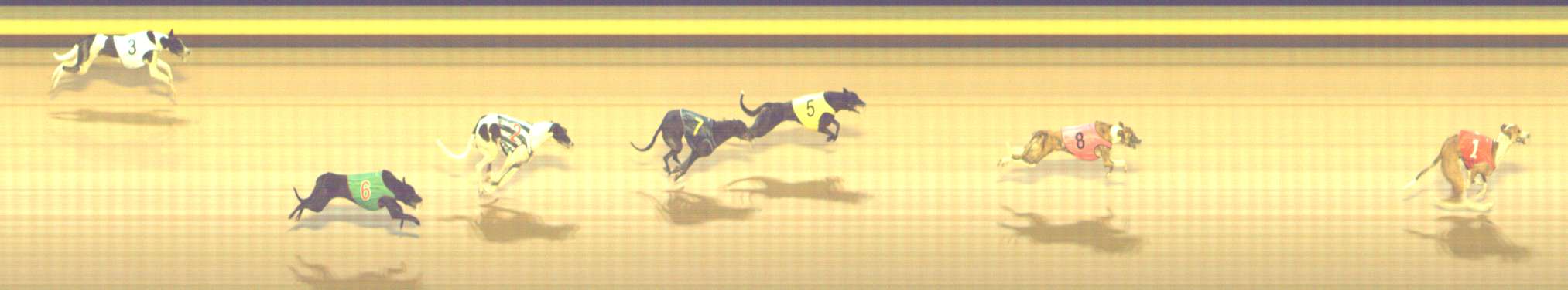 Photo finish for Shepparton Race 3