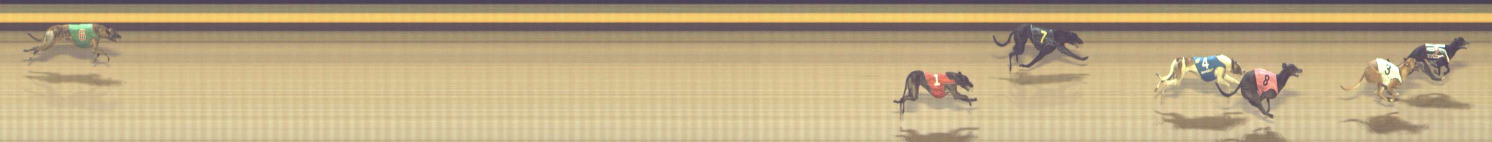 Photo finish for Shepparton Race 4
