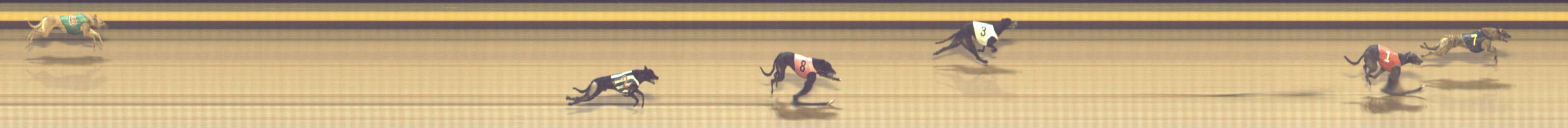 Photo finish for Shepparton Race 5