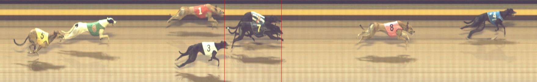 Photo finish for Shepparton Race 6