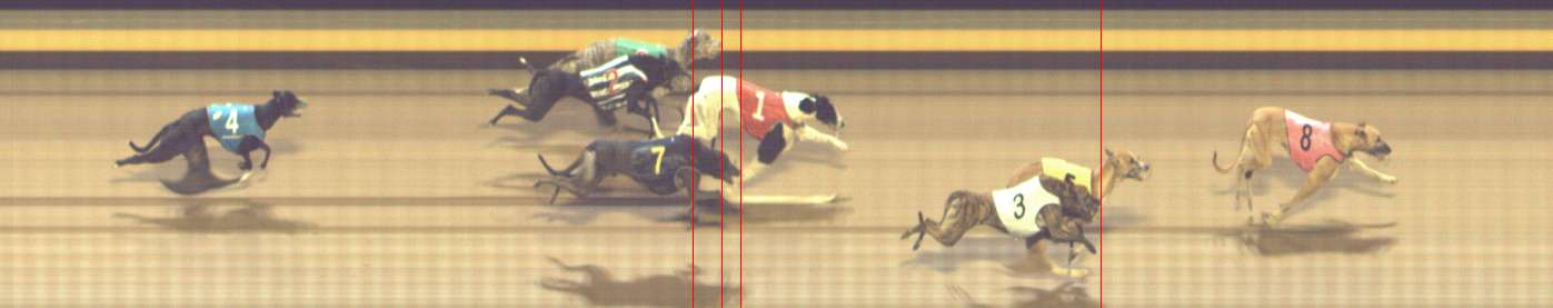 Photo finish for Shepparton Race 7