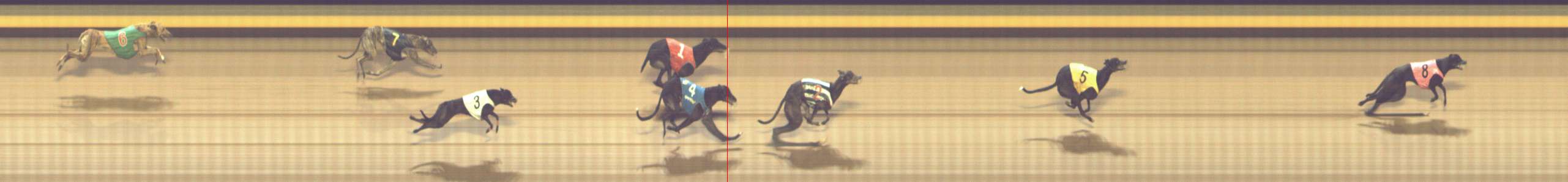 Photo finish for Shepparton Race 8