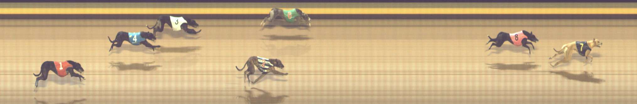 Photo finish for Shepparton Race 9