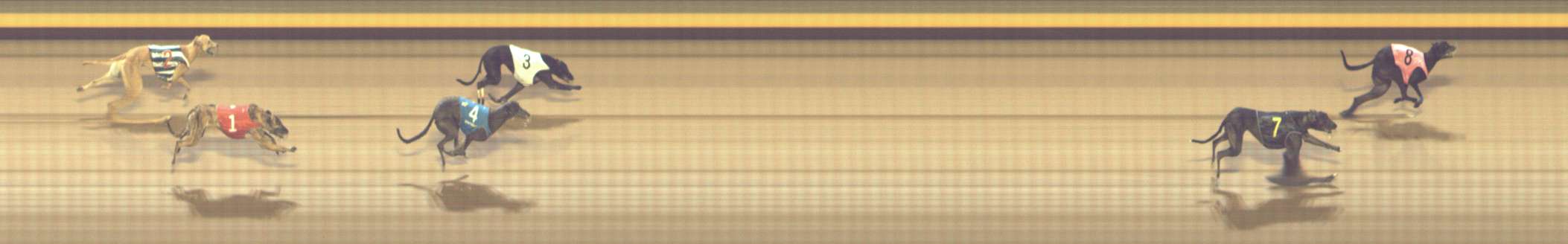 Photo finish for Shepparton Race 10