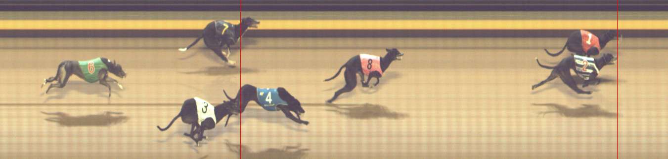 Photo finish for Shepparton Race 11