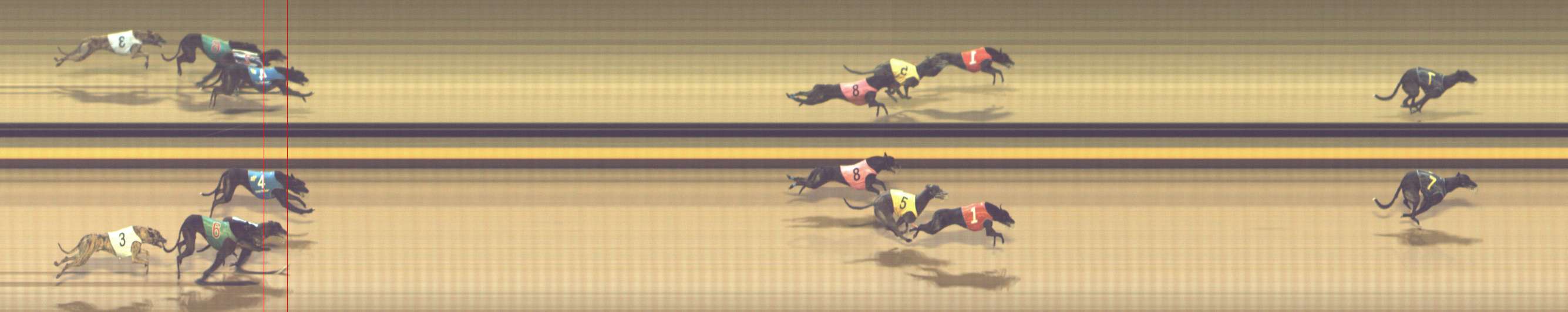 Photo finish for Shepparton Race 12