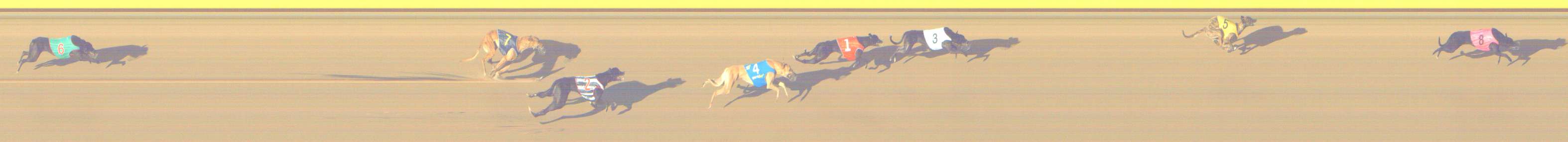 Race result finish photo