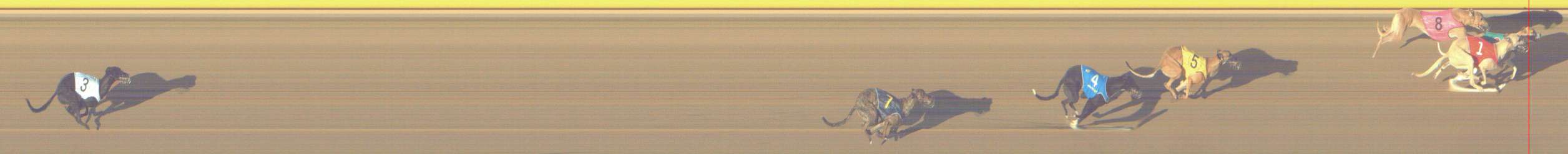 Photo finish for Shepparton Race 2