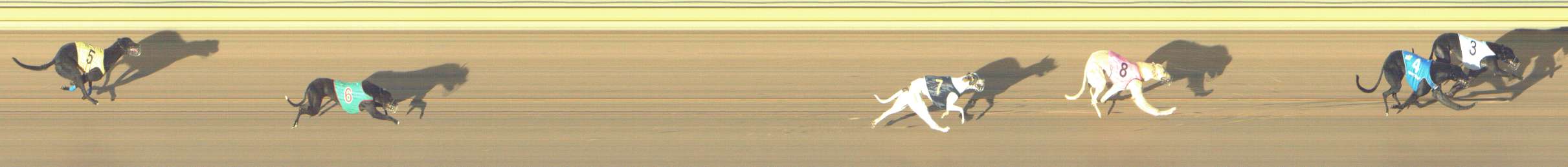 Photo finish for Shepparton Race 3