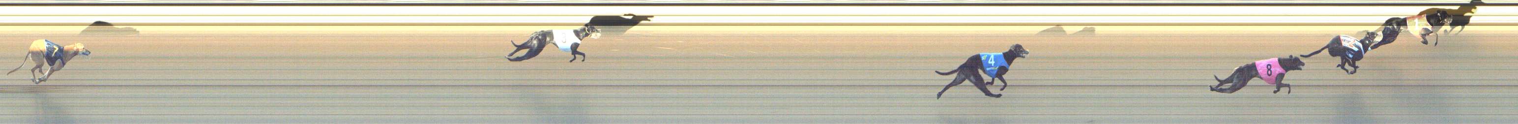 Photo finish for Shepparton Race 4