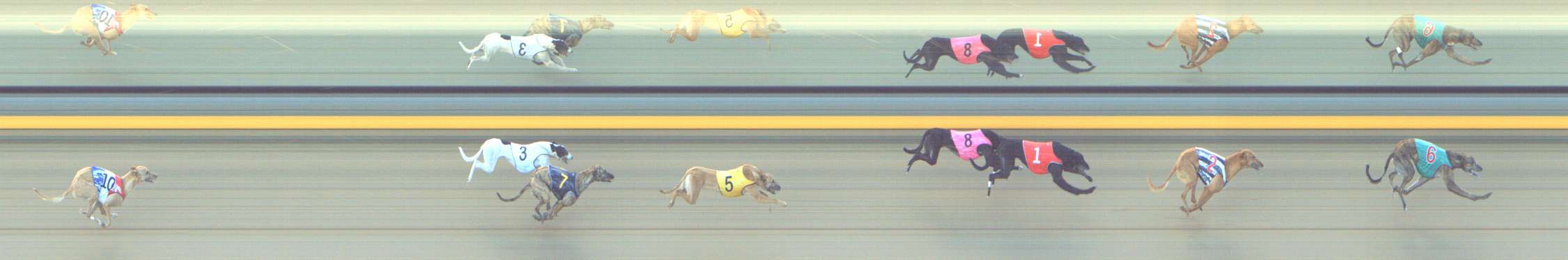 Photo finish for Shepparton Race 5