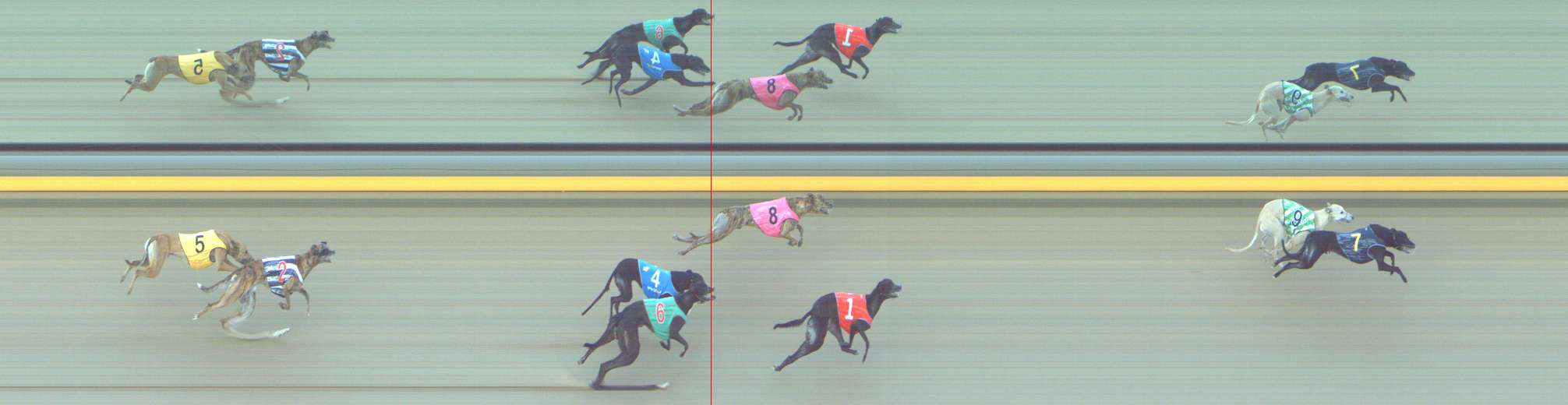 Photo finish for Shepparton Race 7