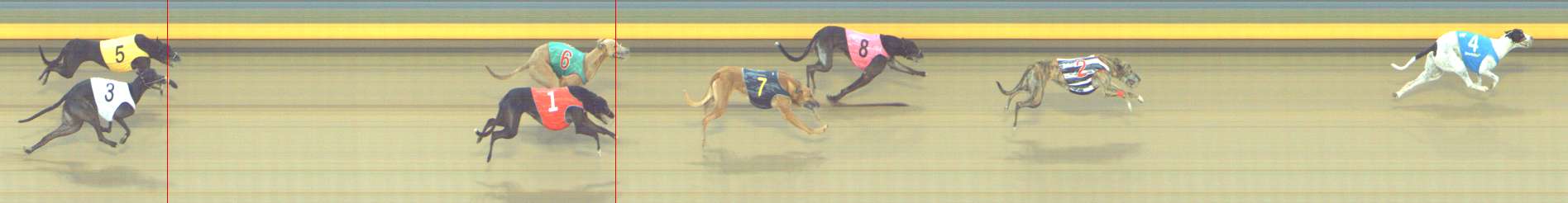 Photo finish for Shepparton Race 8