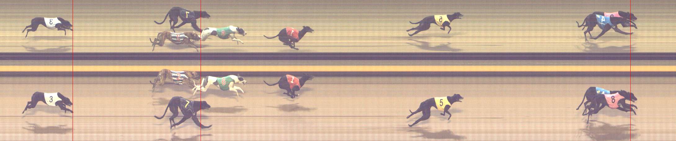 Photo finish for Shepparton Race 10