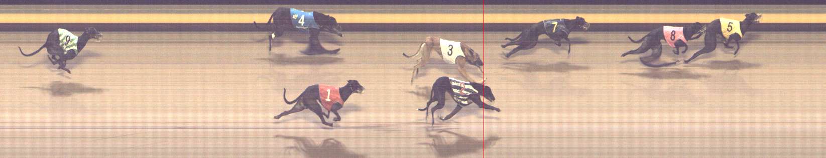 Photo finish for Shepparton Race 11
