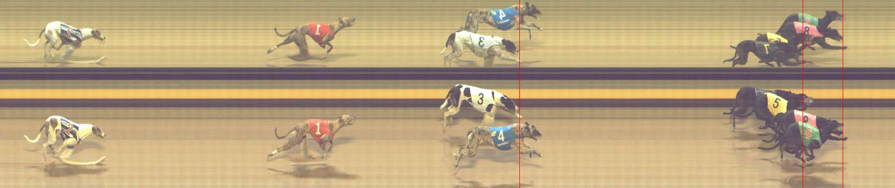 Photo finish for Shepparton Race 12