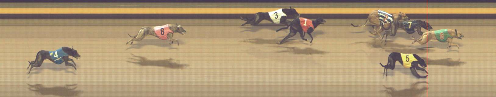 Photo finish for Shepparton Race 13