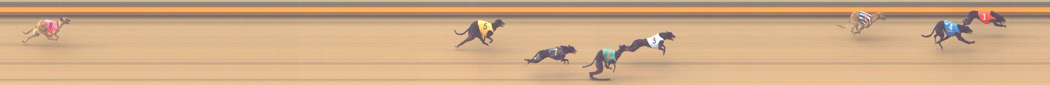 Photo finish for Shepparton Race 2