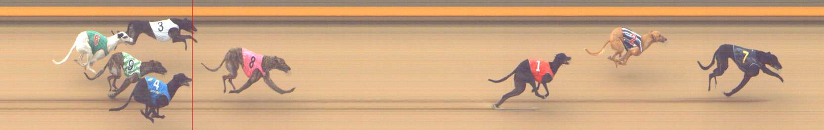 Photo finish for Shepparton Race 3