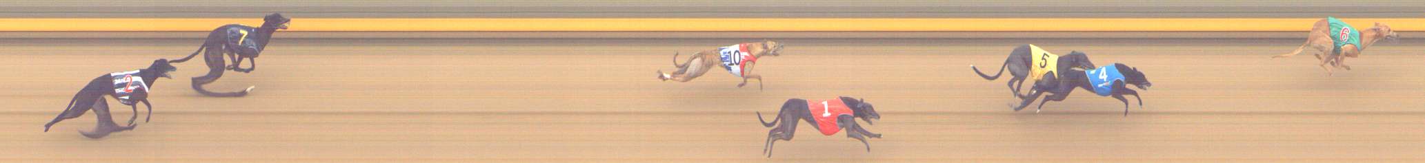 Photo finish for Shepparton Race 4