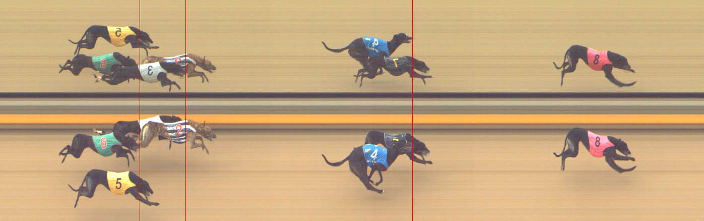 Photo finish for Shepparton Race 5