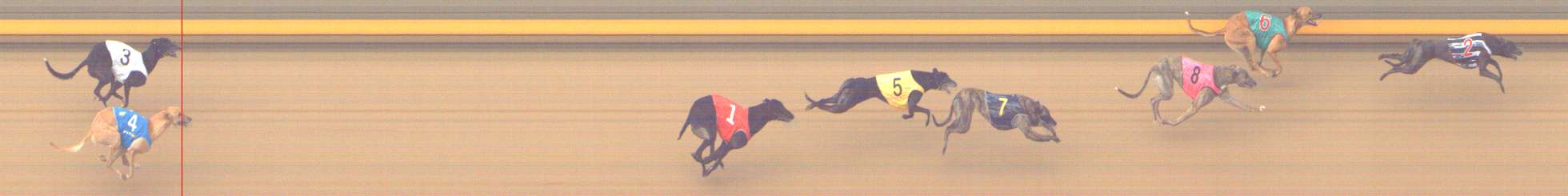 Photo finish for Shepparton Race 6
