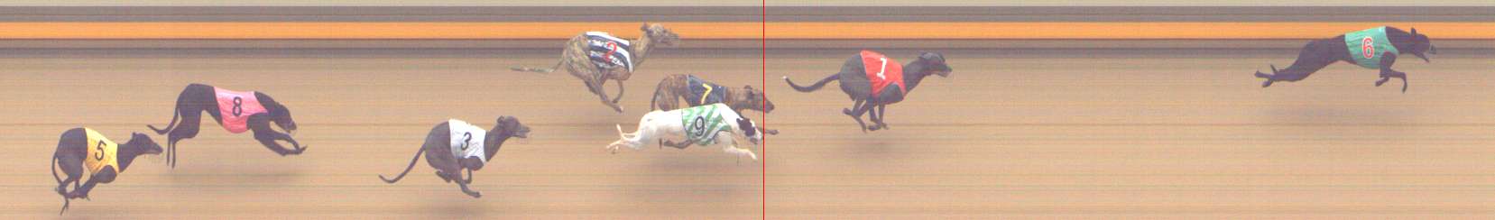 Photo finish for Shepparton Race 7