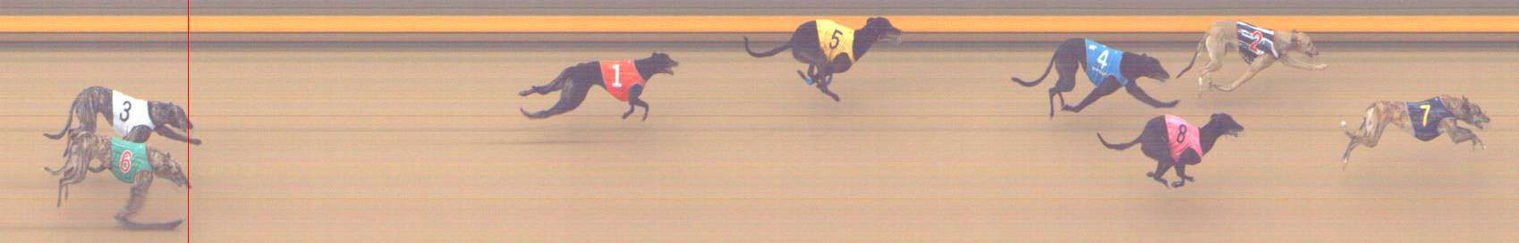 Photo finish for Shepparton Race 8