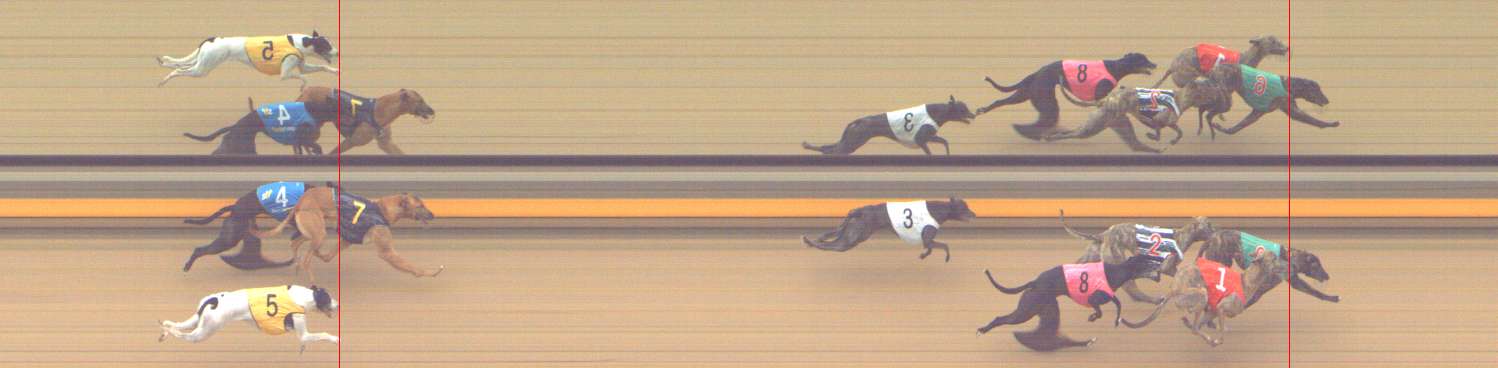 Photo finish for Shepparton Race 9
