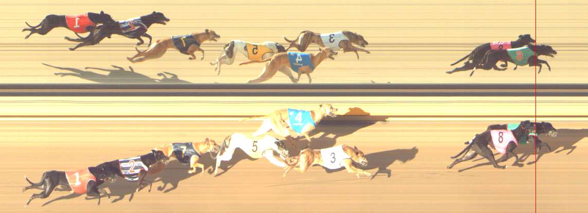 Photo finish for Shepparton Race 12