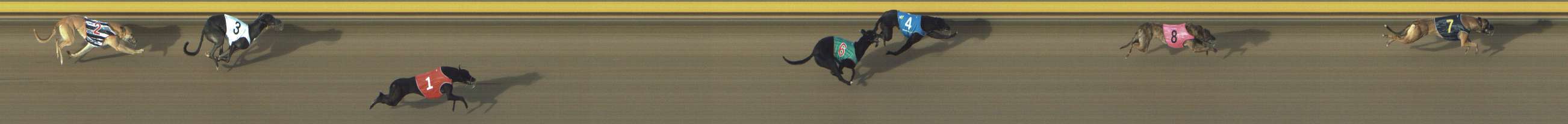 Photo finish for Shepparton Race 1