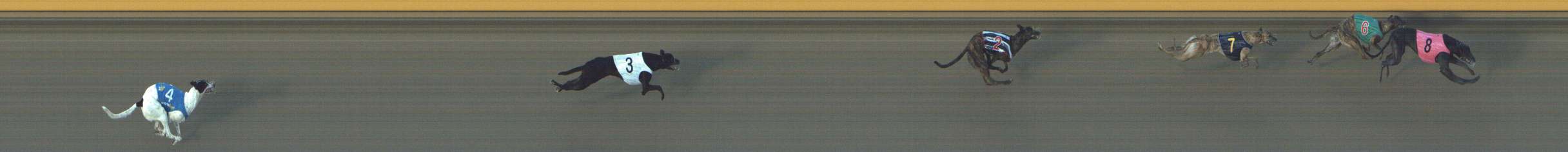 Photo finish for Shepparton Race 2
