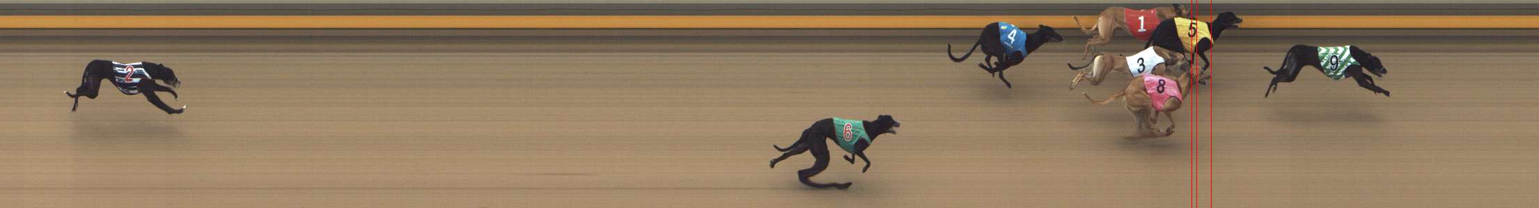 Photo finish for Shepparton Race 4