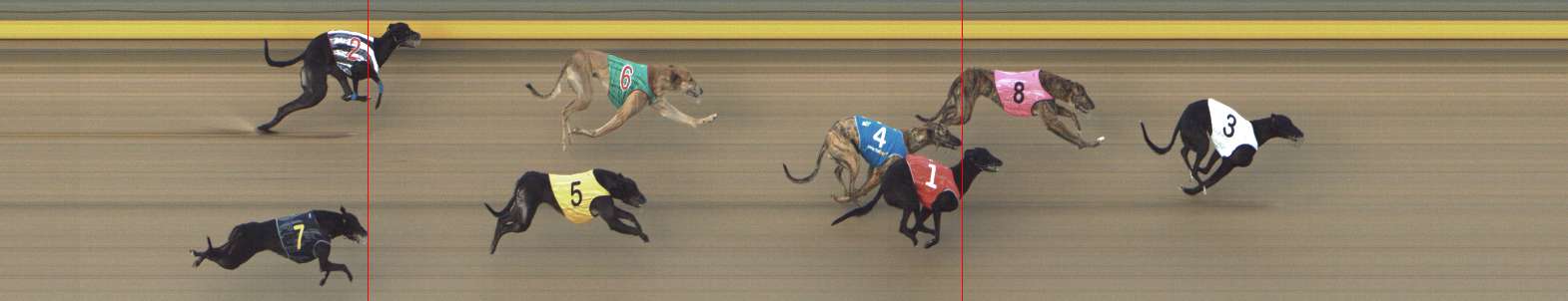 Photo finish for Shepparton Race 5
