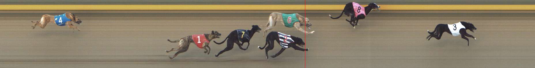 Photo finish for Shepparton Race 6
