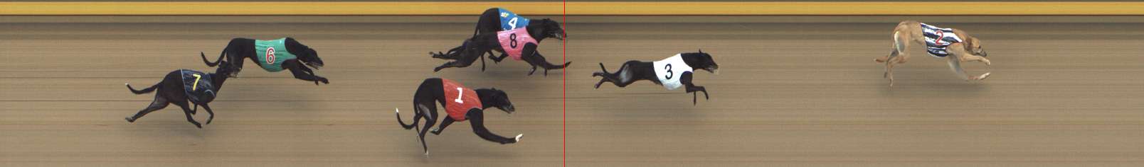 Photo finish for Shepparton Race 7